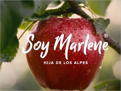 Las 4 estaciones de Marlene®