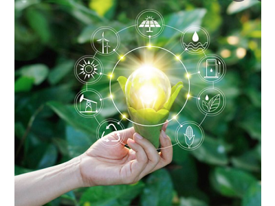 Los ecoactivos ganan adeptos, los ecorresignados los pierden