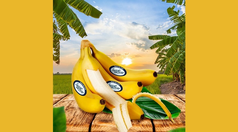 SanLucar lanza nueva Bananas Premium