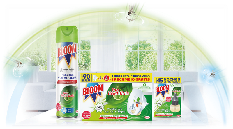 Bloom lanza Pro Essentials