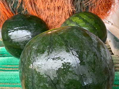 Peris reduce su consumo energético a la vez que aumenta su volumen de producción