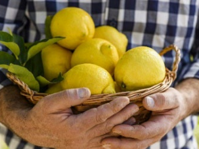 El consumo de limón se estabiliza y vuelve a los niveles de la prepandemia