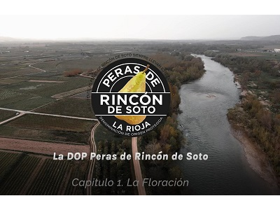 Peras de Rincón de Soto lanza una serie de vídeos promocionales e informativos