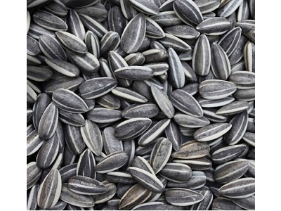 Crece un 15% la importación de pipas de girasol en España