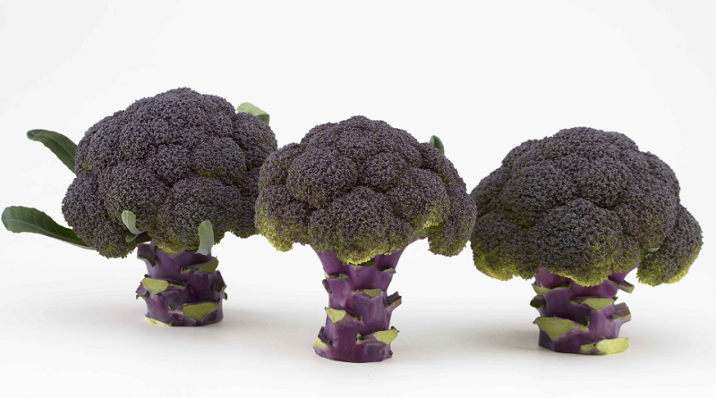 Nace el primer brócoli morado del mercado