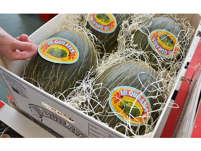 ‘18 Quilates’, el melón gran selección de Peris, despunta en ventas en una campaña compleja