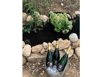 Gran fiesta de la vendimia 2022 de Canals & Munné