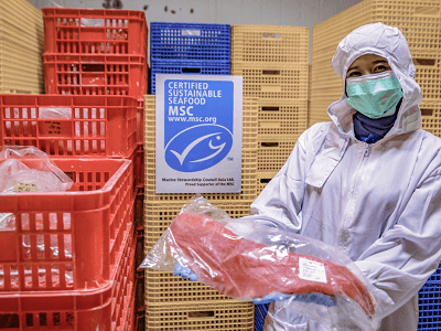 El 80% de la población española considera que solo se debe consumir pescado de fuentes sostenibles