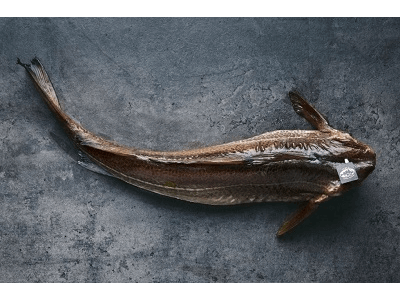 El sibarita skrei noruego conquista el mercado español con cifra histórica de ventas