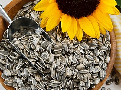 Comer pipas de girasol, una tradición muy española