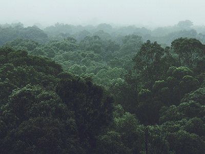 Tetra Pak redujo un 39% sus emisiones de gases de efecto invernadero en 2022