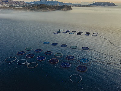 La alimentación azul es el futuro