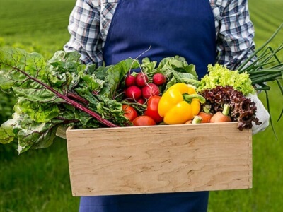 Información y promoción, claves para el futuro de la alimentación ecológica