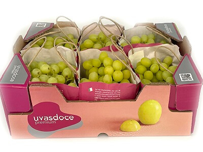 Arranca la campaña de Uvasdoce Fresh con antelación y muy buena calidad