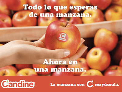 Candine® duplica sus ventas