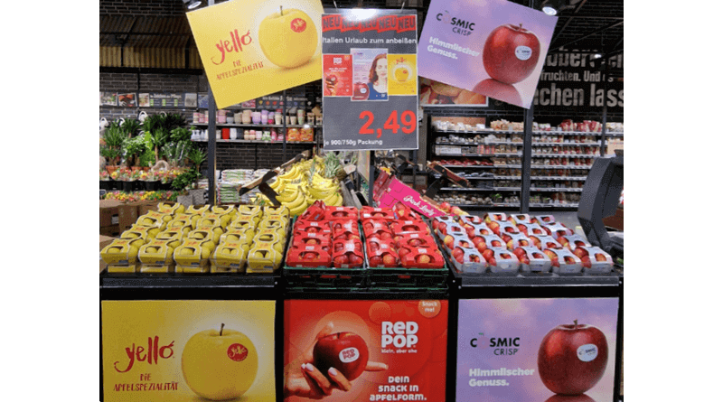 VOG estrena su Innovation Corner