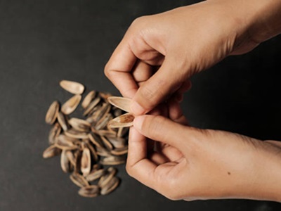 Las tendencias de consumo de pipas de los españoles