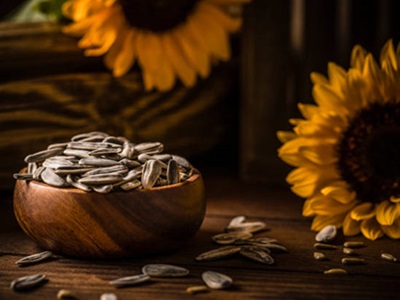 España es el principal mercado de EE.UU para la exportación de pipas de girasol