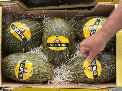 Peris cierra su mejor campaña de melón gourmet en los últimos cinco años