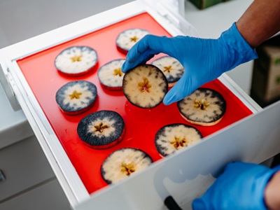 VIP Val Venosta apuesta por el uso de la Inteligencia Artificial