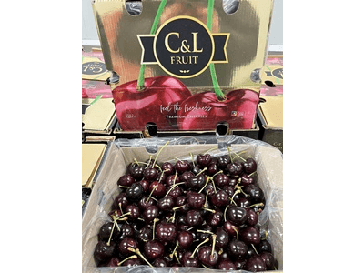 CMR GROUP comercializará el primer contenedor de Cereza de la temporada en Europa