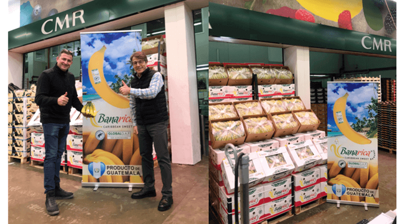 Llegan a España las bananas Banarica