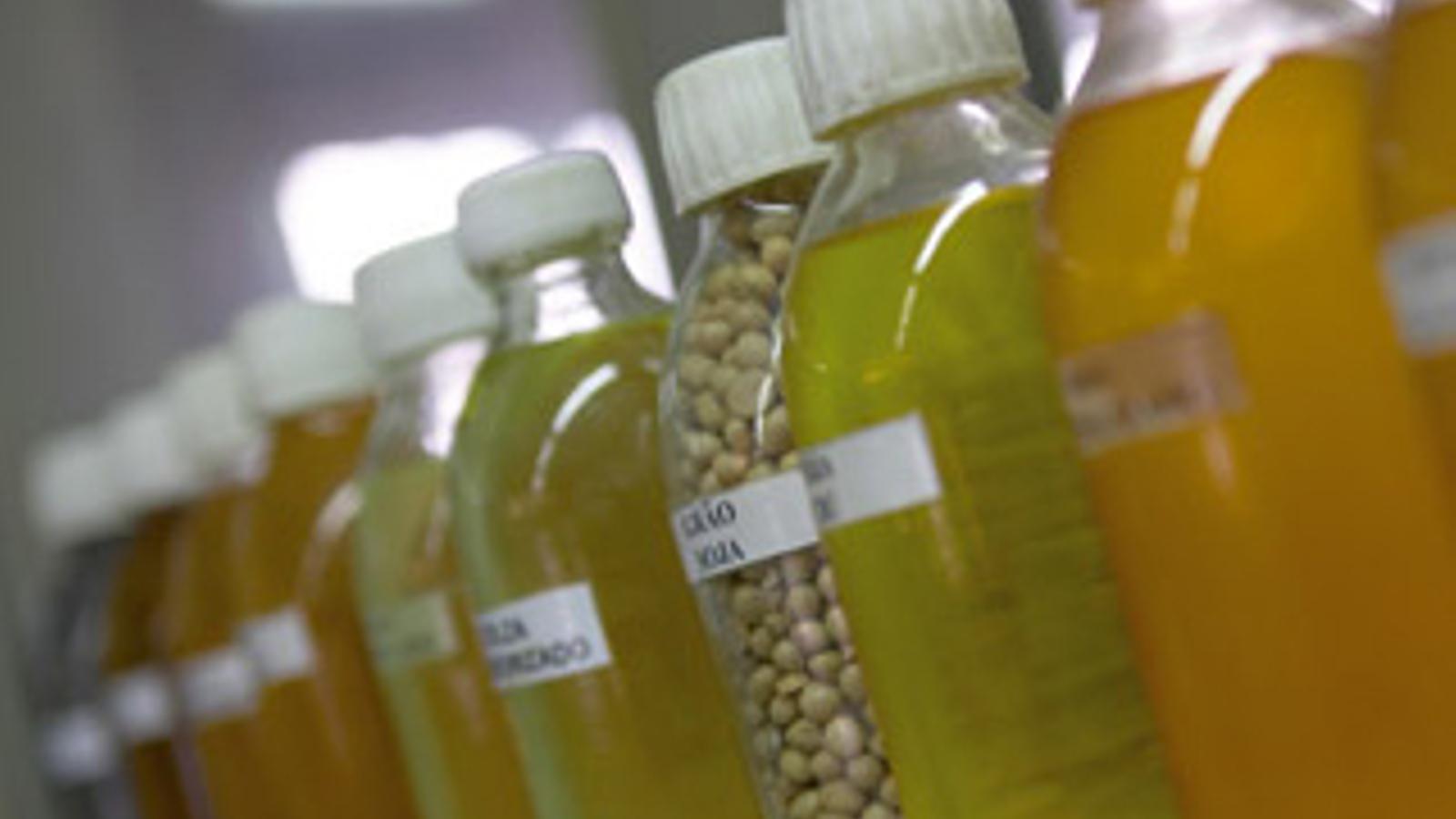 Sovena Oilseeds España - 