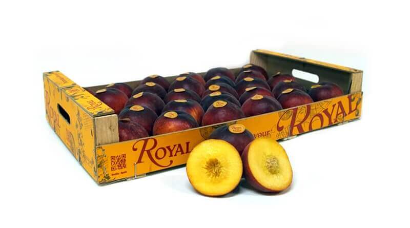 Excepcional arranque de Royal en una campaña de fruta de hueso cargada de novedades