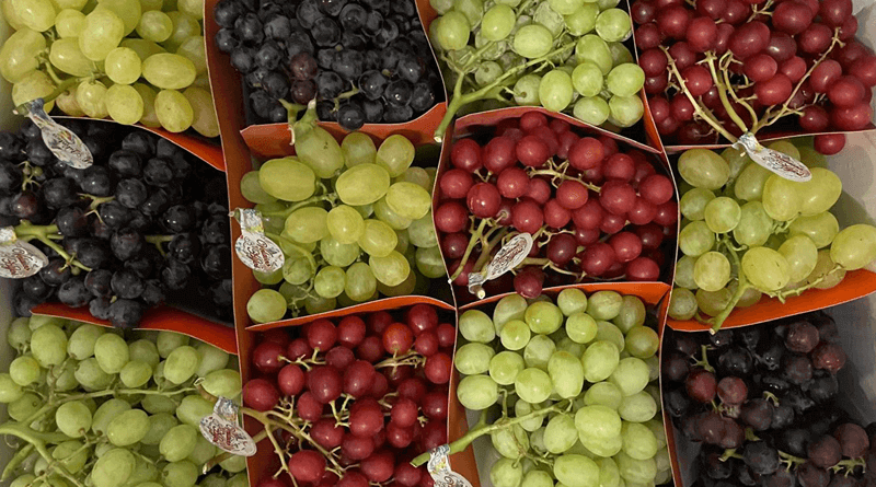 Frutinter apuesta por la uva con un proyecto global y estratégico