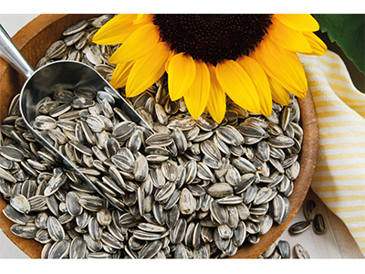 Pipas USA desvela los hábitos de los españoles en el consumo de aperitivos