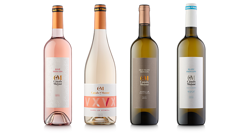 Nuevas cosechas 2020 de los vinos jóvenes de la línea Princeps