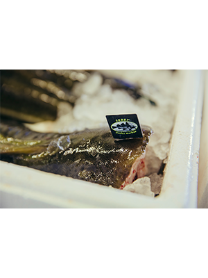 Las exportaciones de Skrei a España se mantienen firmes durante la temporada 2021