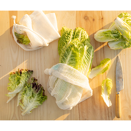 La lechuga se convierte en la verdura más consumida en primavera