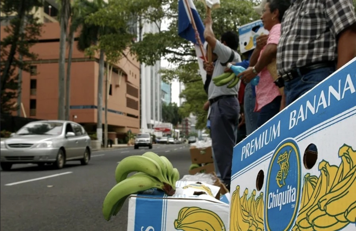 Chiquita prevé volver a exportar bananas desde Panamá a partir de febrero de este año