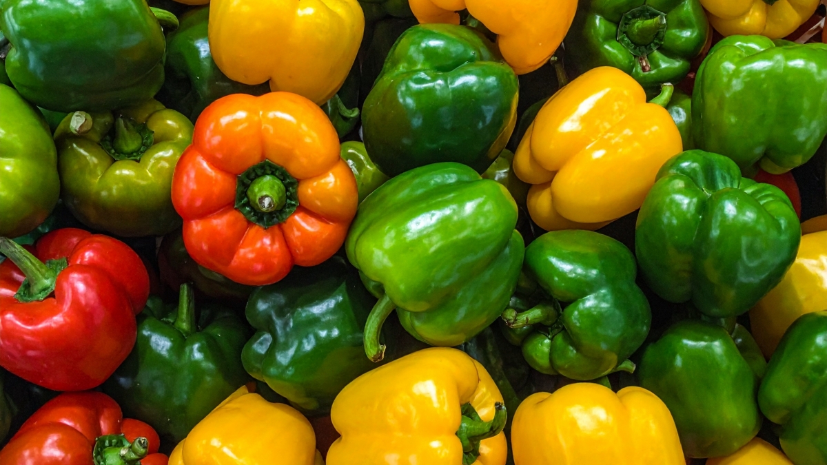 COEXPHAL lanza la campaña 