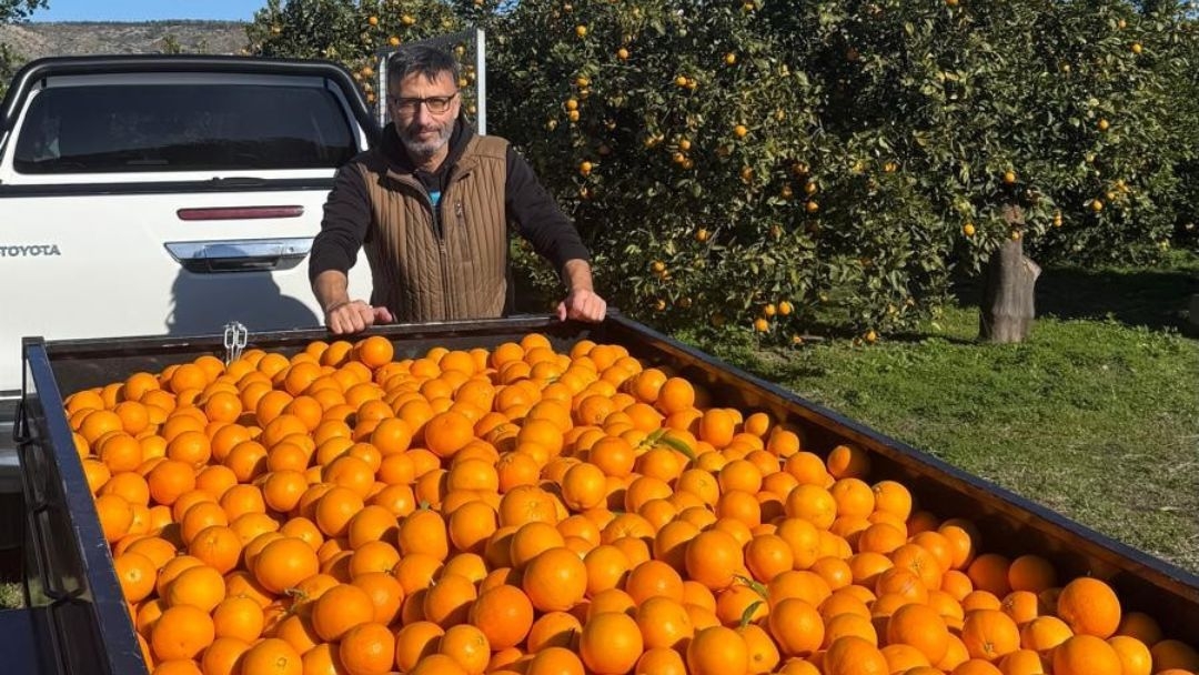 Lextransport vuelve a apoyar al Banco de Alimentos de Asturias con fruta y donación económica