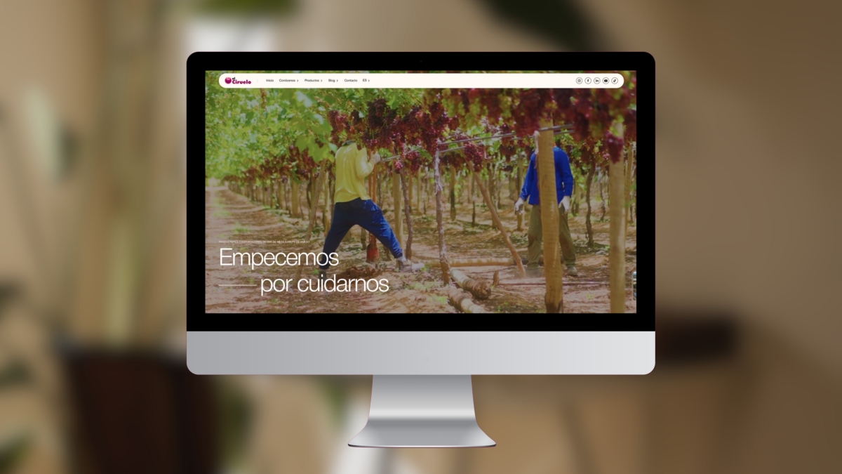 El Ciruelo renueva su web