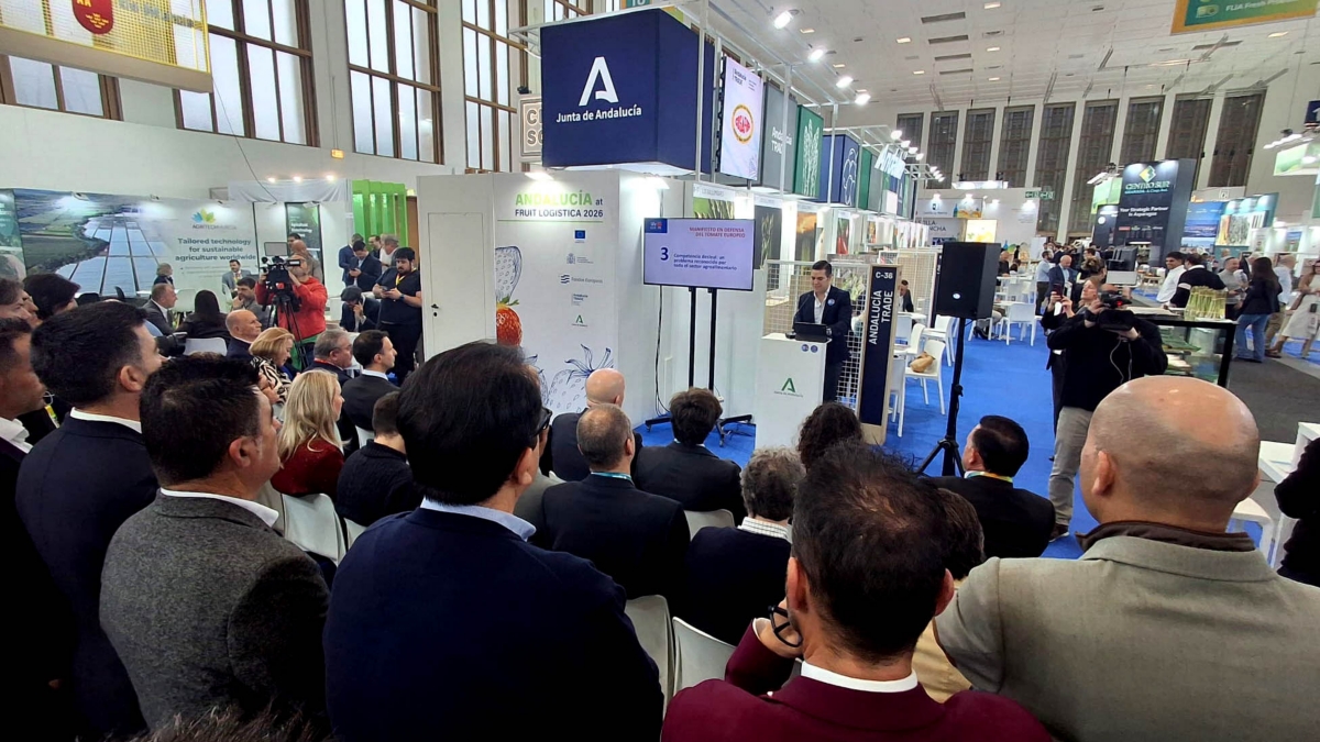 El tomate europeo en riesgo: el acuerdo con Marruecos genera competencia desleal