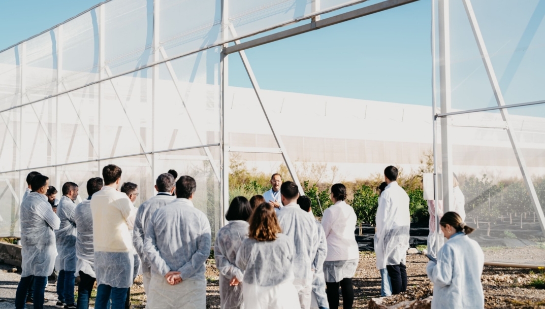 Lidl lanza una plataforma de formación y financiación verde para sus 400 proveedores de marca propia