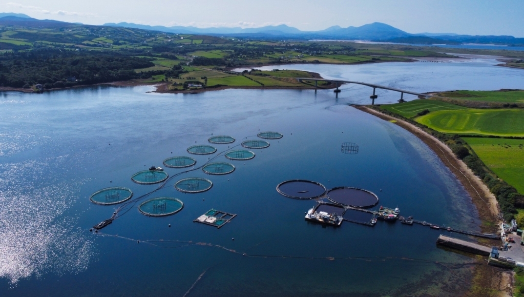 El productor de salmón Mowi cierra 2025 con una facturación récord de 5.730 millones de euros