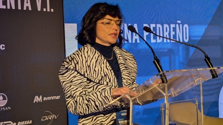 La presidenta de Aervi defiende una 