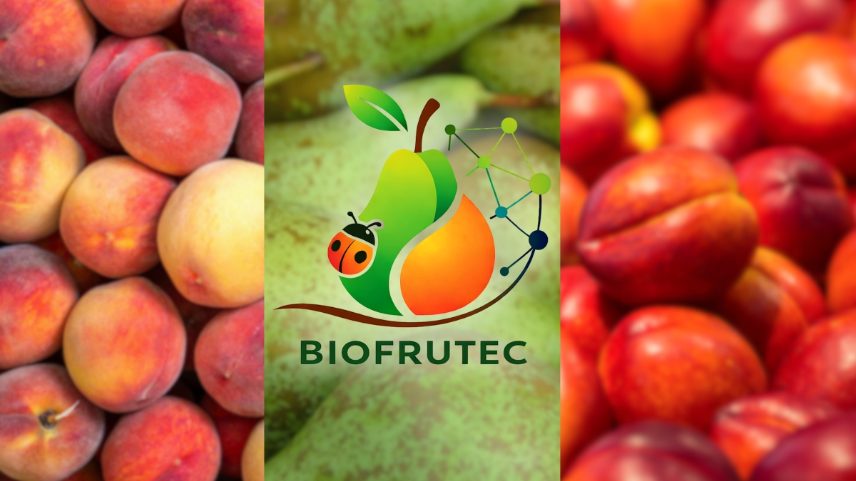 La Rioja impulsa nuevas estrategias para reducir plagas en frutales con control biológico y tecnología