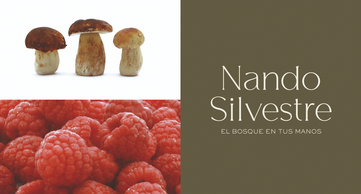 Nando Silvestre: 30 años llevando el carácter del bosque a la cocina profesional