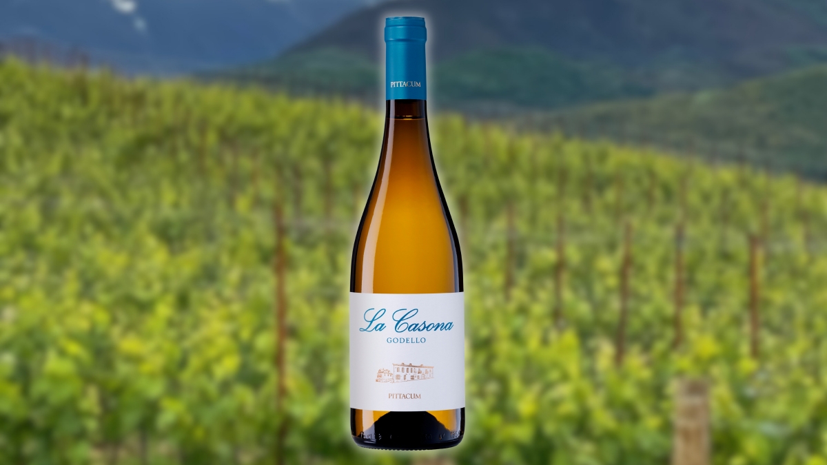 La Casona de 2025, el nuevo godello de Pittacum