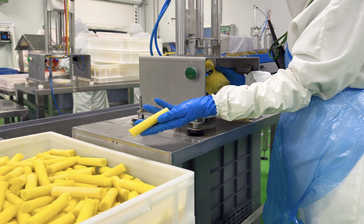 Peris avanza en economía circular con la obtención de bromelina extraída de corazones de piña, subproducto de IV gama