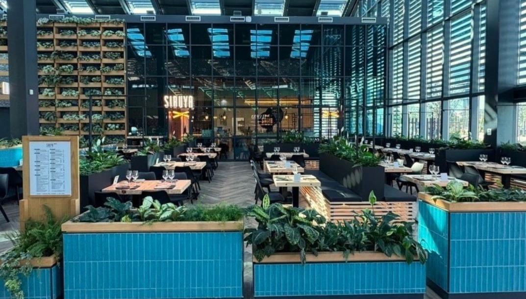 Sibuya Urban Sushi Bar abre su segundo restaurante en Oporto, Portugal