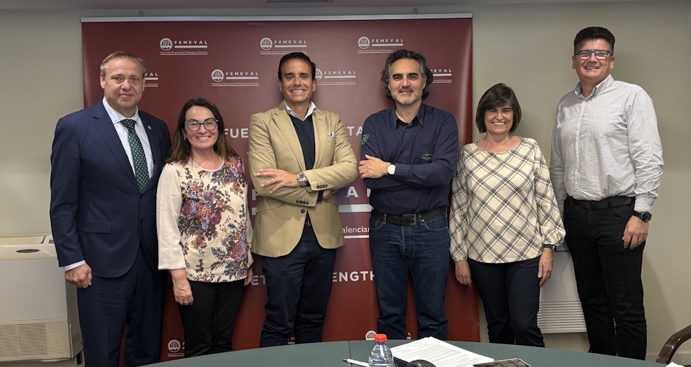 El nuevo Comité Ejecutivo de Fevauto.