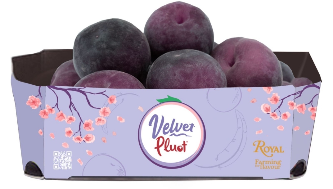 Royal Velvet Pluot.