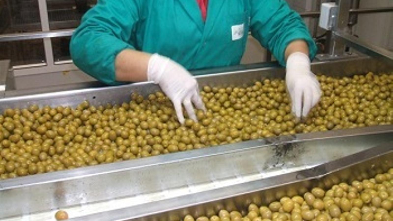 Dcoop se adjudica los activos de Aceinaza - 