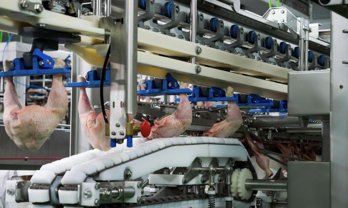 Plukon Food  Group compra el 100% de Avimosa